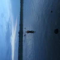 Thumb cbcbee29bf