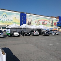 Thumb 11750a6924
