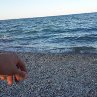 Thumb 5834dc169a