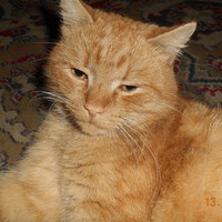 Thumb 0841a3676d